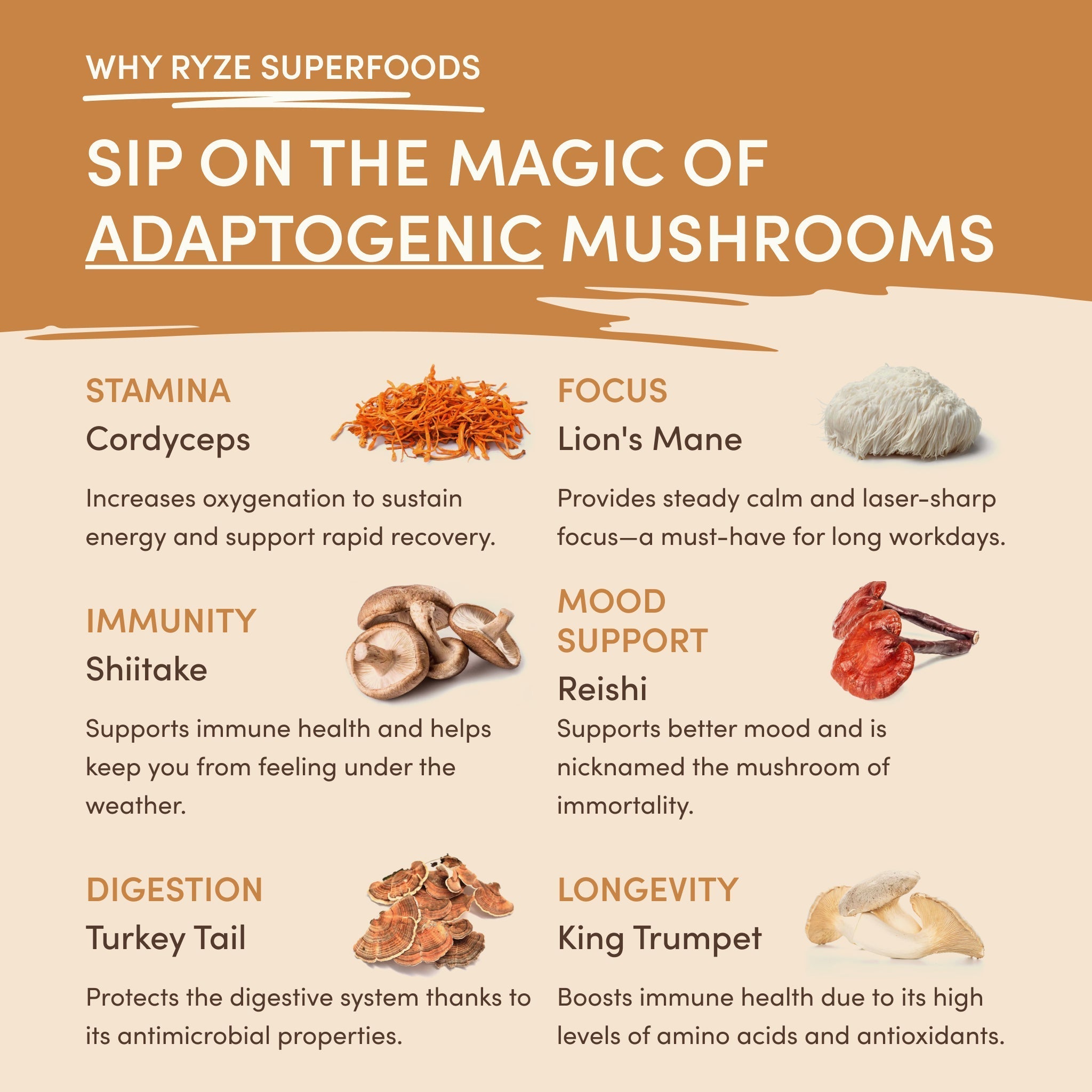 Mushroom Overnight Oats (14 Servings) - Coffee Meets Superfoods