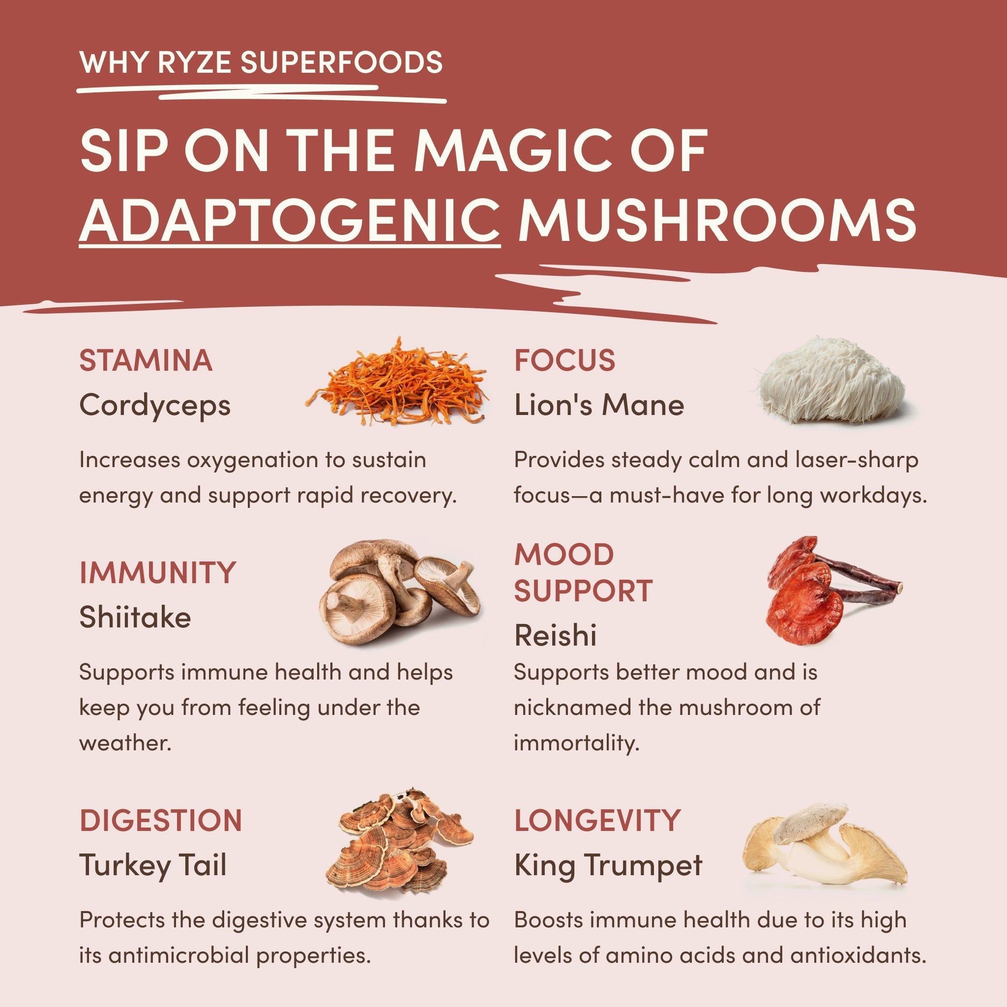 Mushroom Chicory (30 Servings) - Simple Coffee Ritual