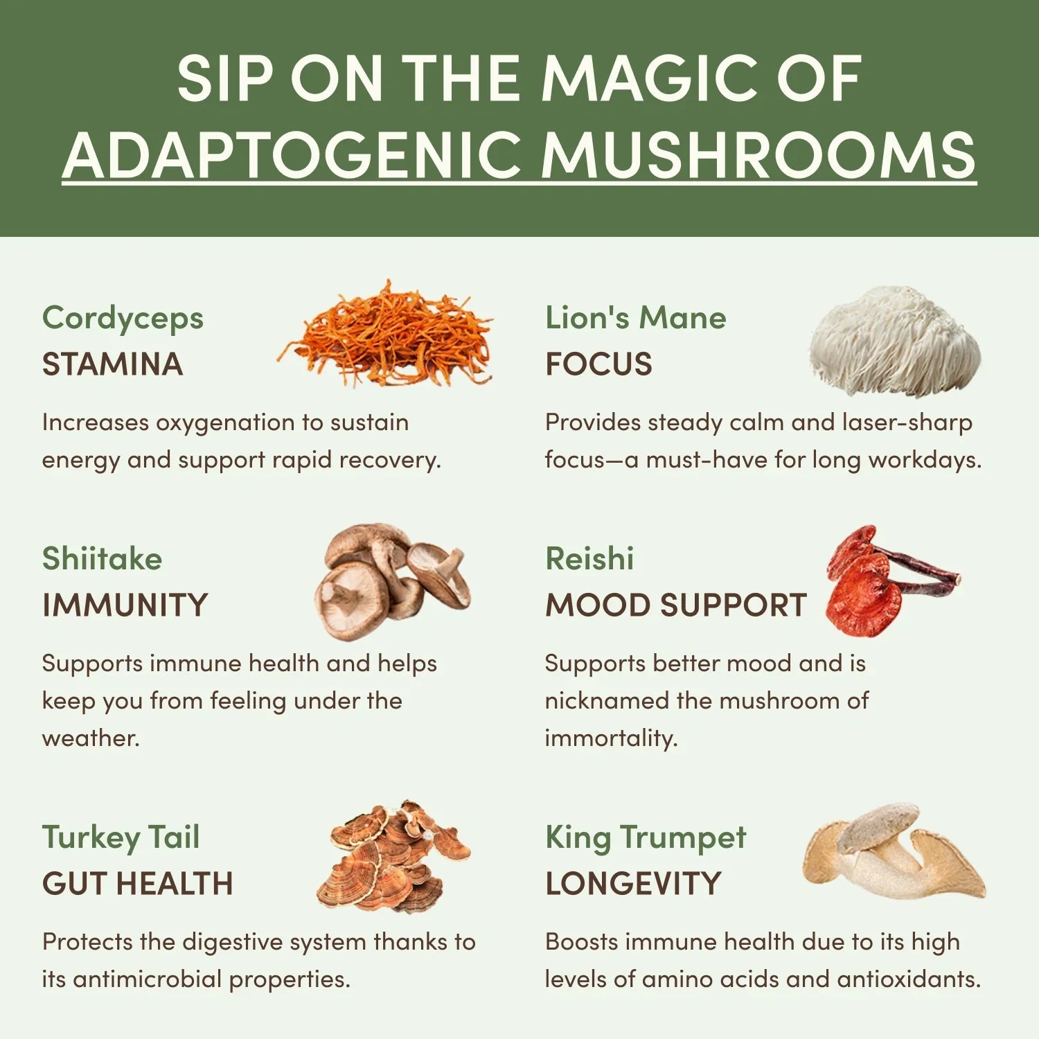 Mushroom Matcha (30 Servings) - Start Smooth Daily