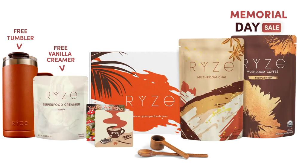 Boosted Chai Latte Bundle (Chai + Coffee) - Mushroom Coffee Daily