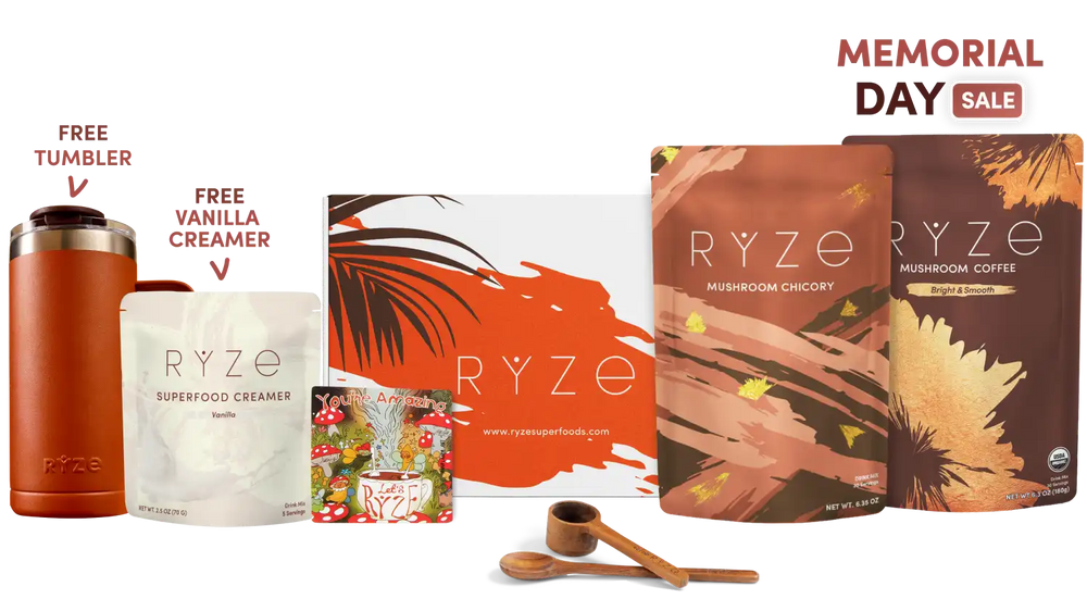 Lasting Energy Bundle (Chicory + Coffee) - RYZE Sip Moment