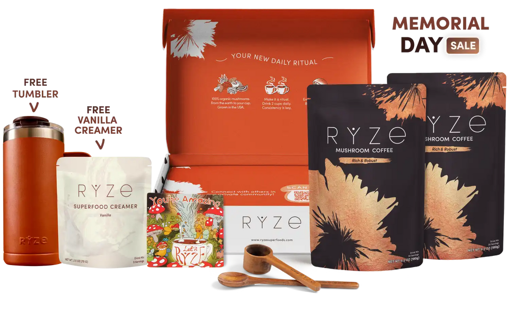 Mushroom Coffee Dark Roast Starter Kit (60 servings) - Smooth Morning Coffee